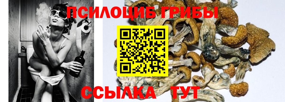 Псилоцибиновые грибы прущие грибы  Псилоцибиновые грибы Psilocybe  Люберцы  Вход с VPN 
